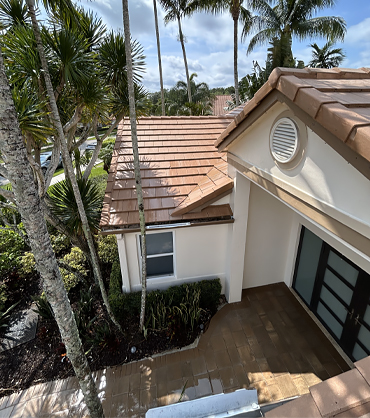 Surface Clean Pressure & Softwash, Roof Pressure Cleaning